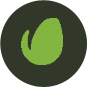 review_envato1